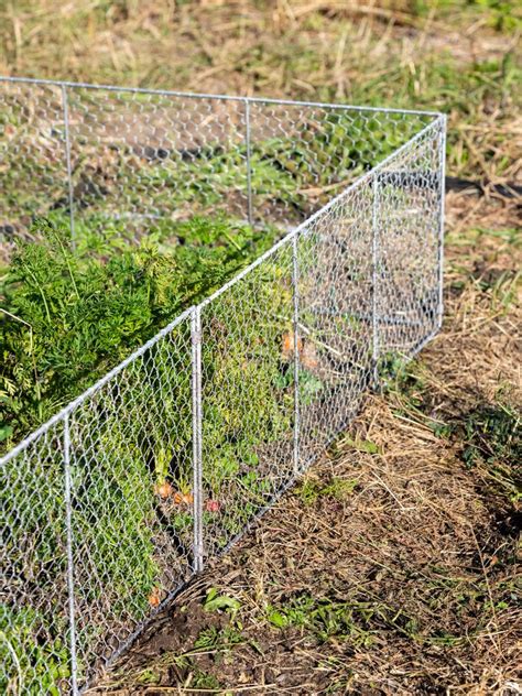 london blitz metal box chicken wire|wire fence for chickens.